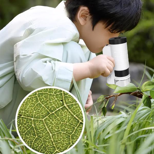 Microscope For Kids